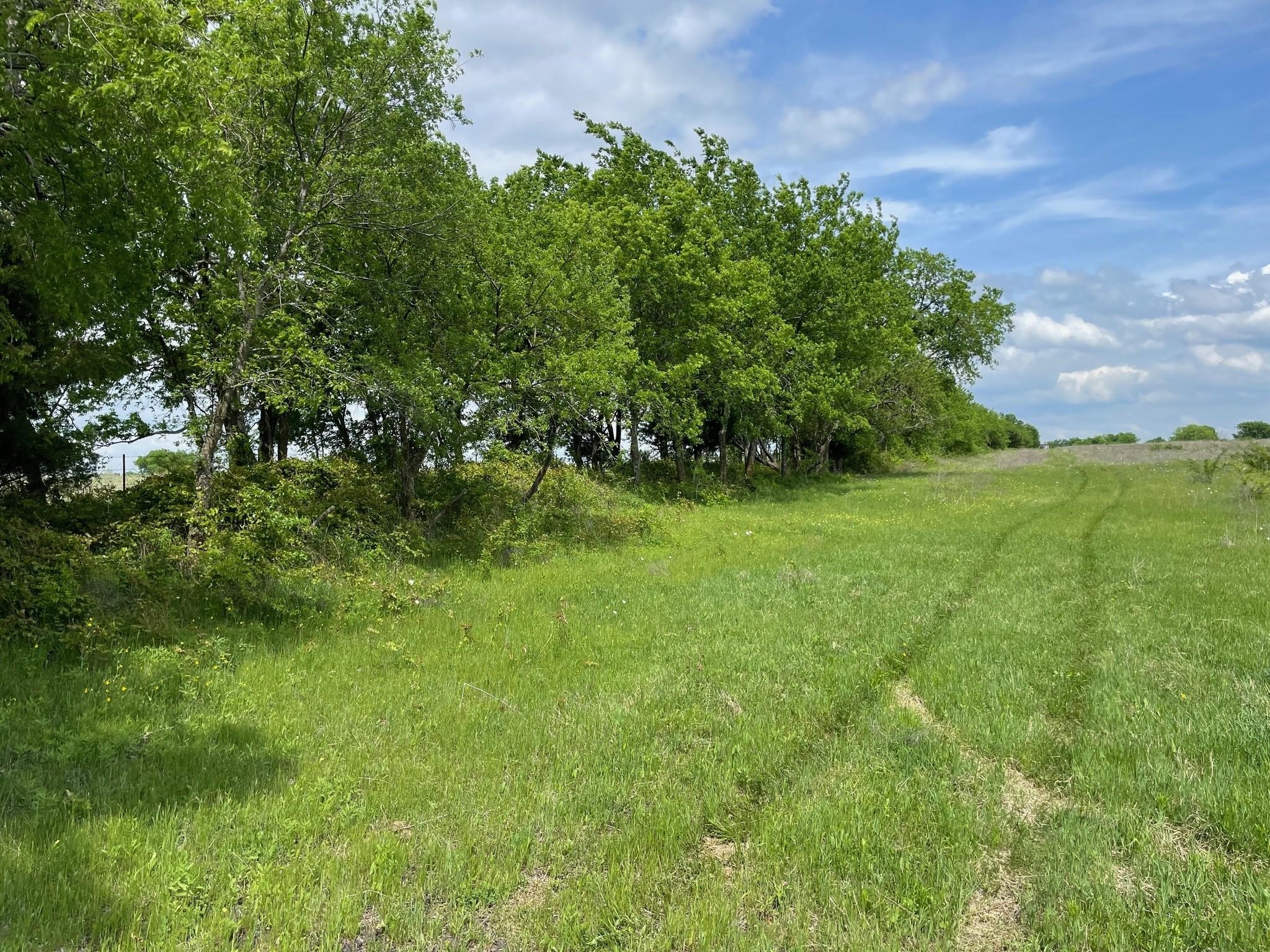 26 Acres FM 118