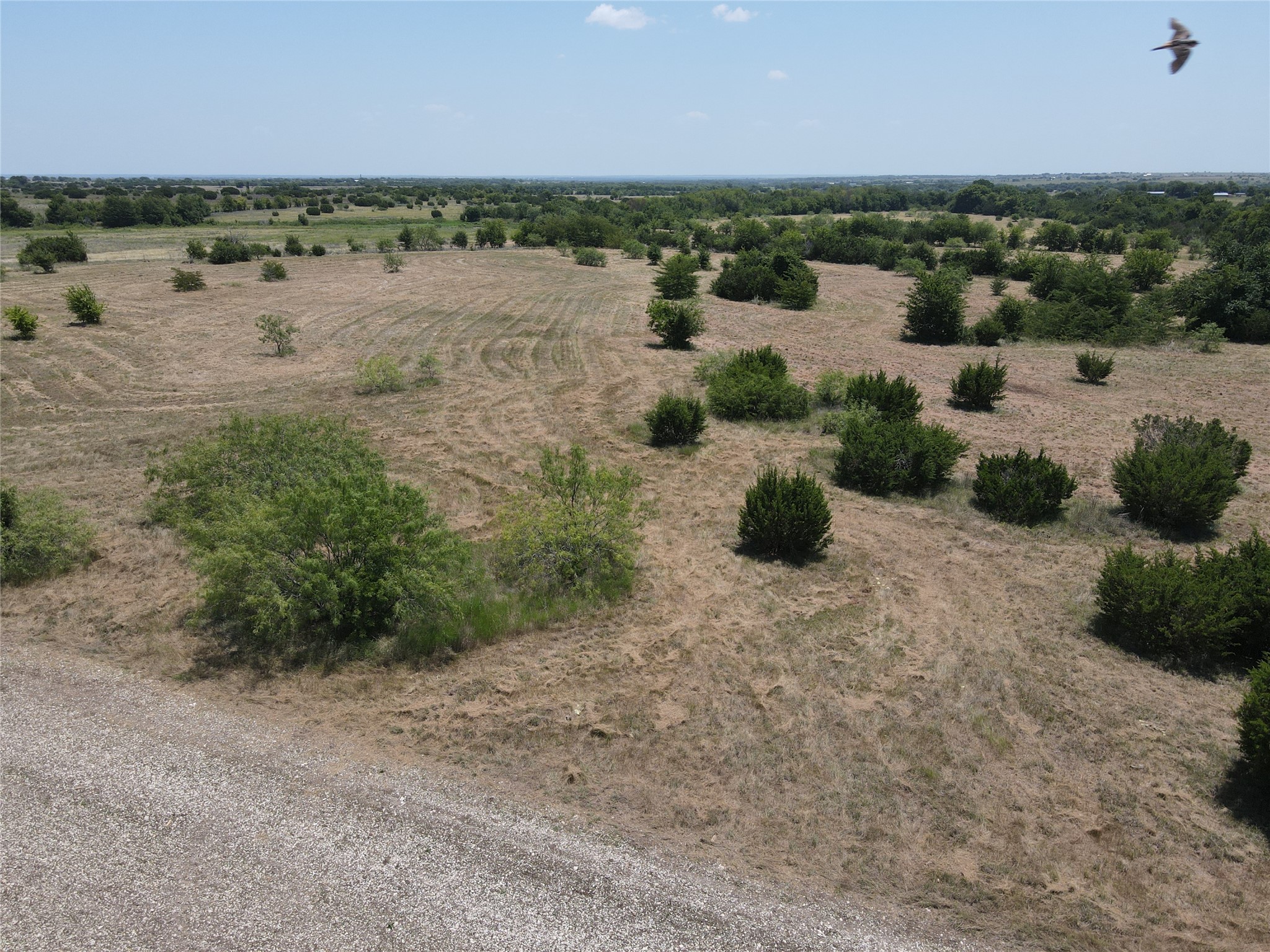 3757 FM 1434 Lot 1