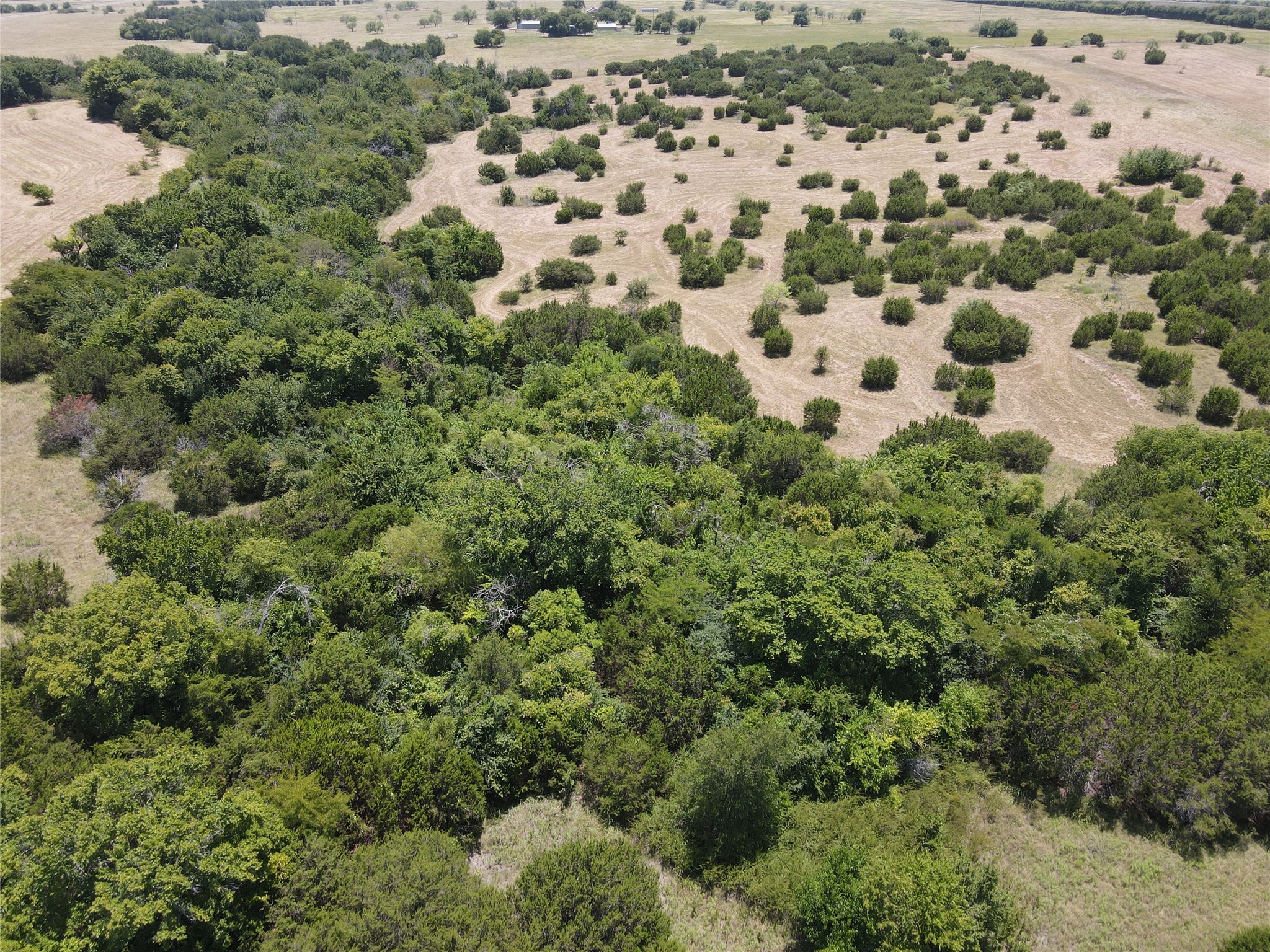 3757 FM 1434 Lot 2