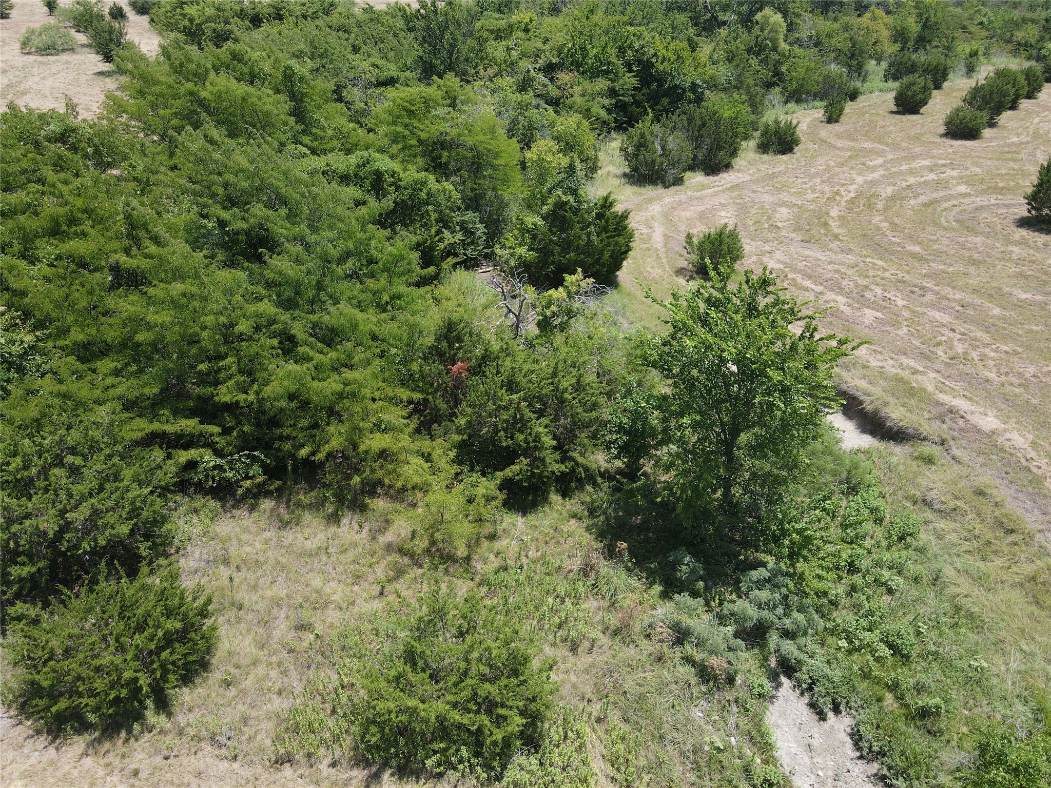 3757 FM 1434 Lot 2