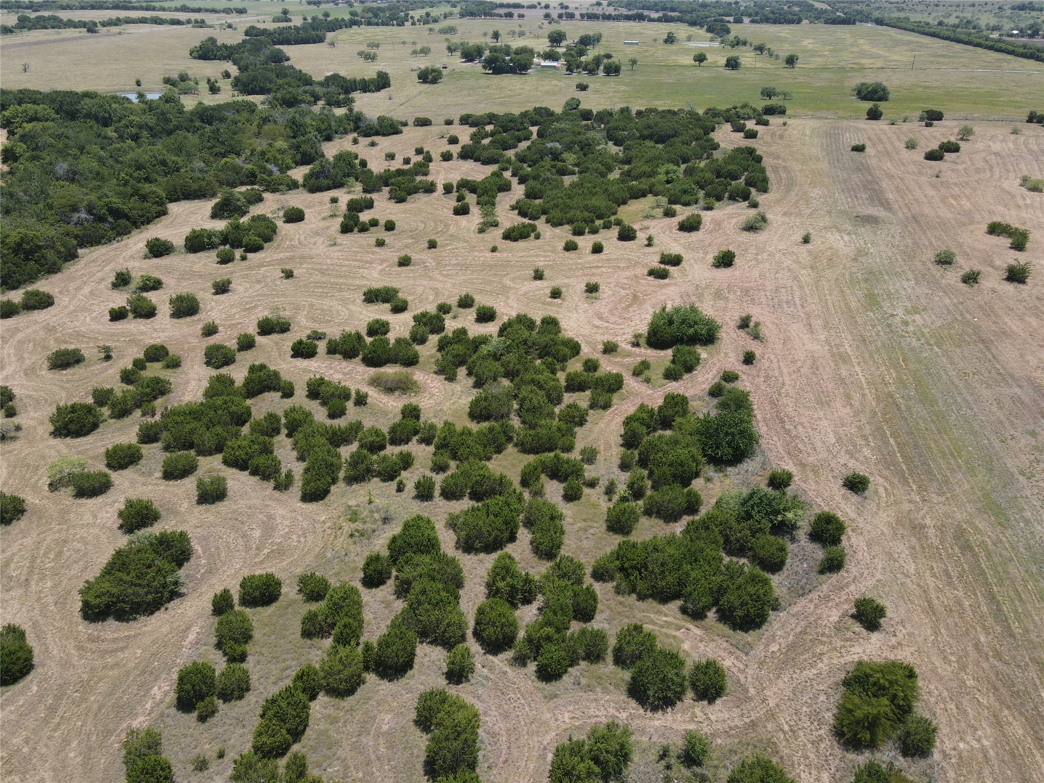 3757 FM 1434 Lot 3