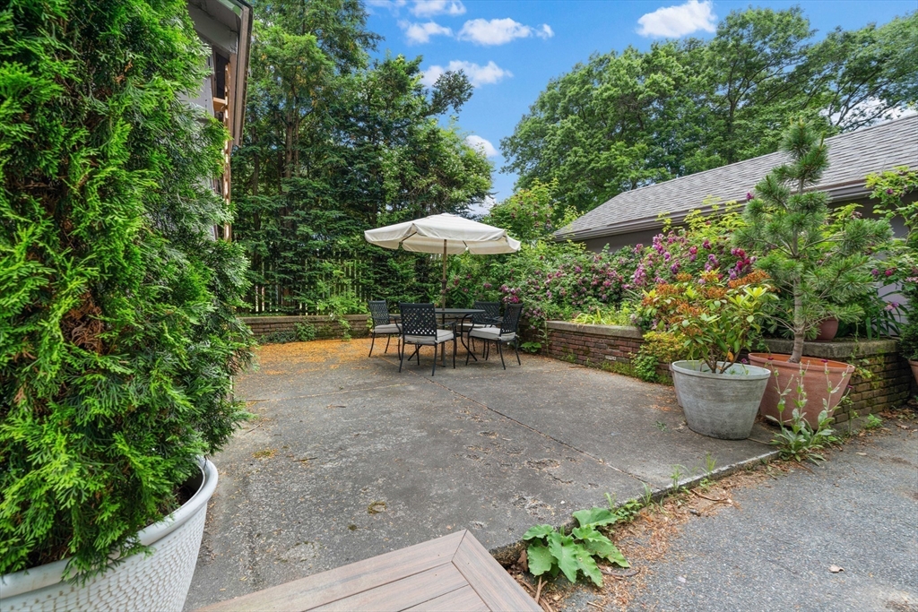 19 Shawmut Ave. Ext.
