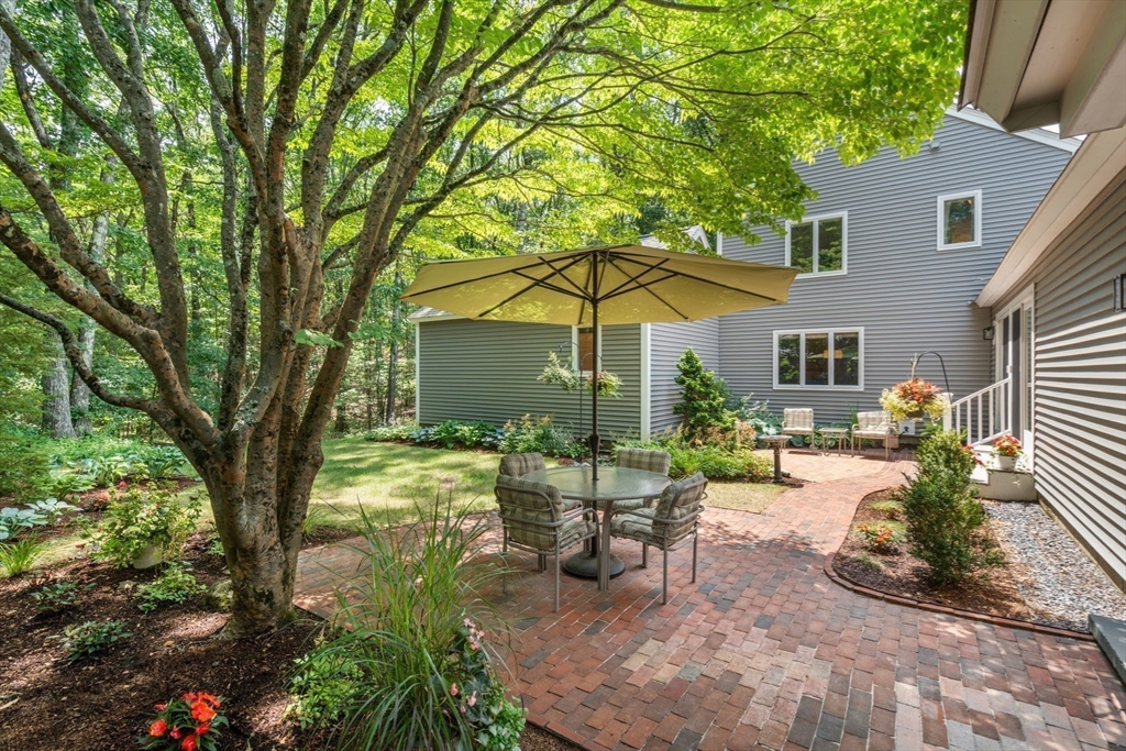 3 Steepletree Lane # 3
