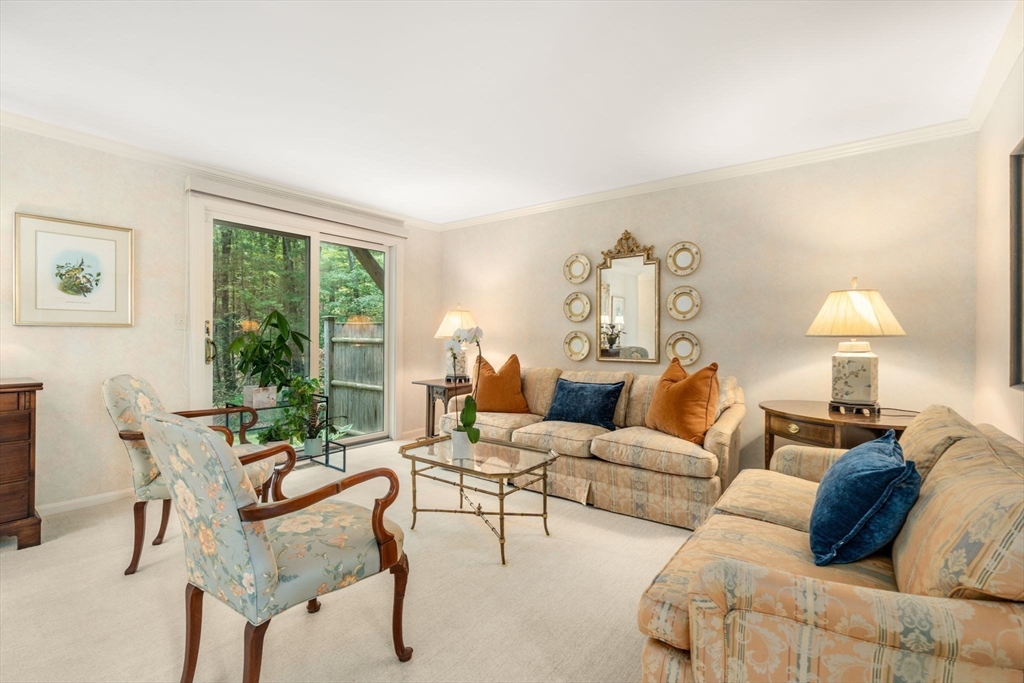 3 Steepletree Lane # 3