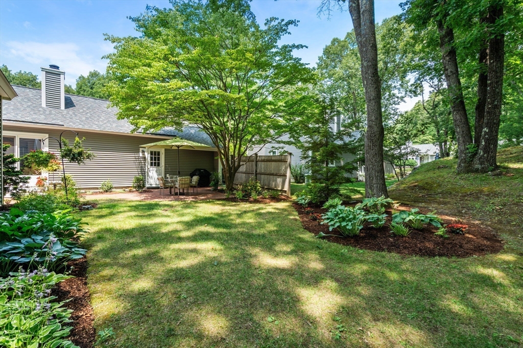 3 Steepletree Lane # 3