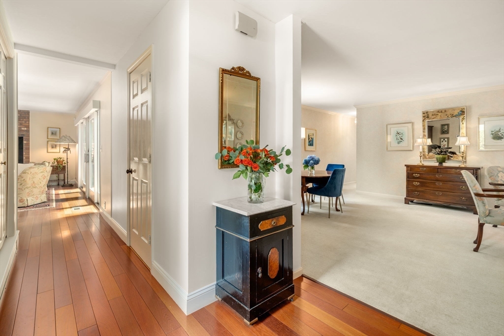 3 Steepletree Lane # 3