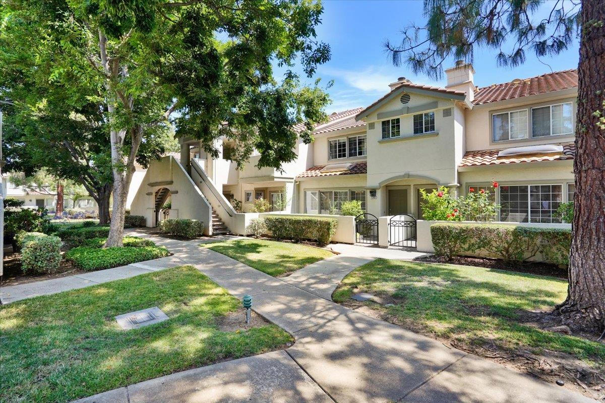 1282 Tea Rose CIR