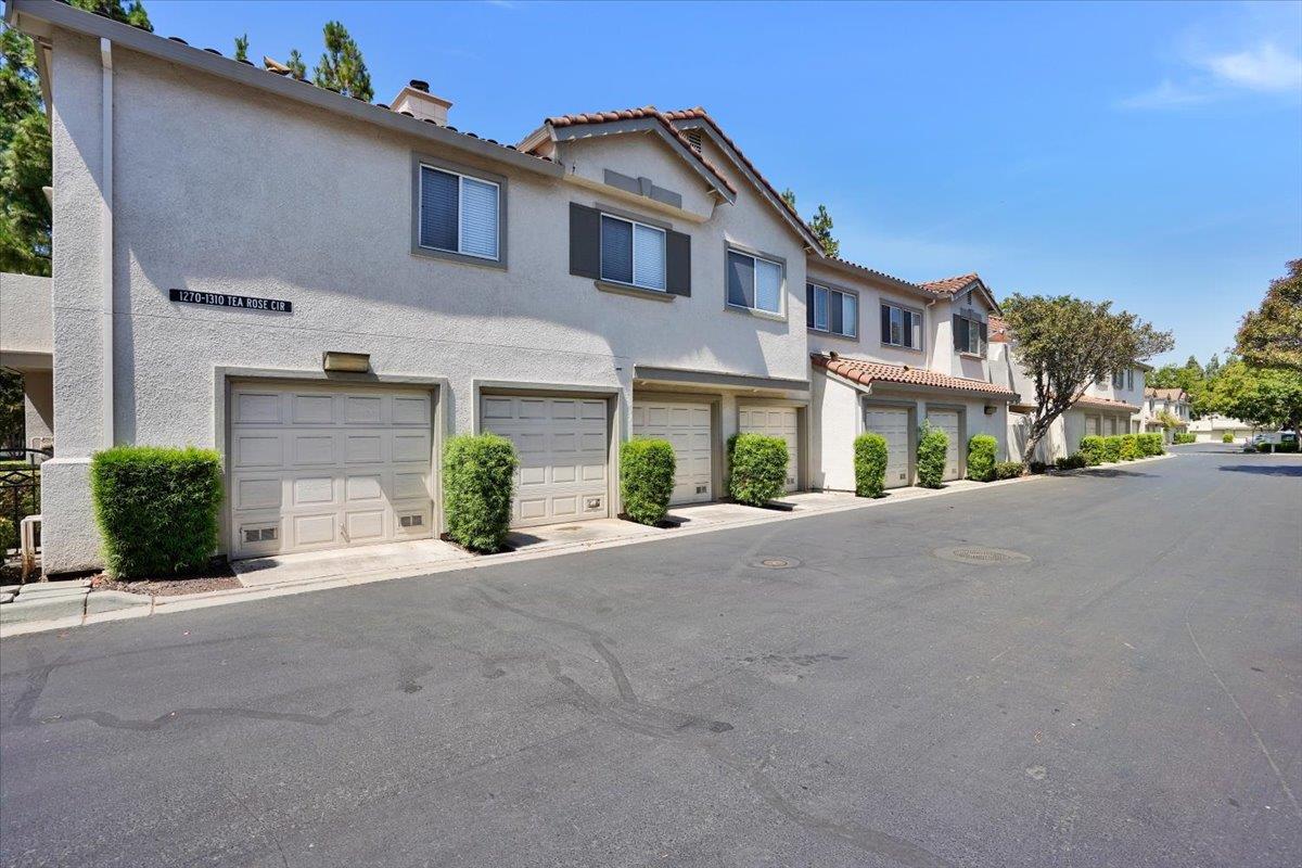 1282 Tea Rose CIR