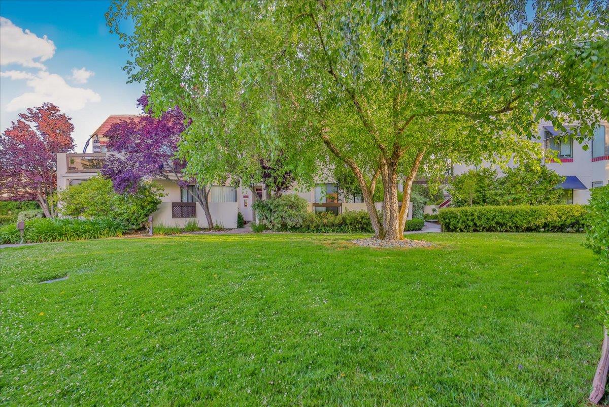 538 Shorebird CIR 22203