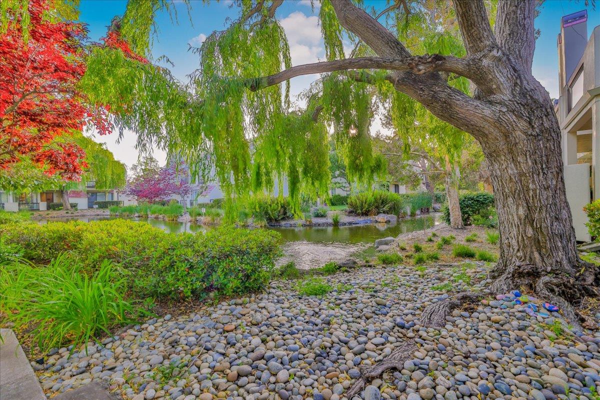 538 Shorebird CIR 22203