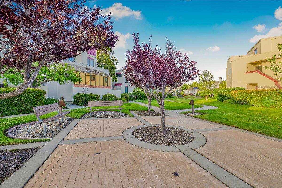 538 Shorebird CIR 22203