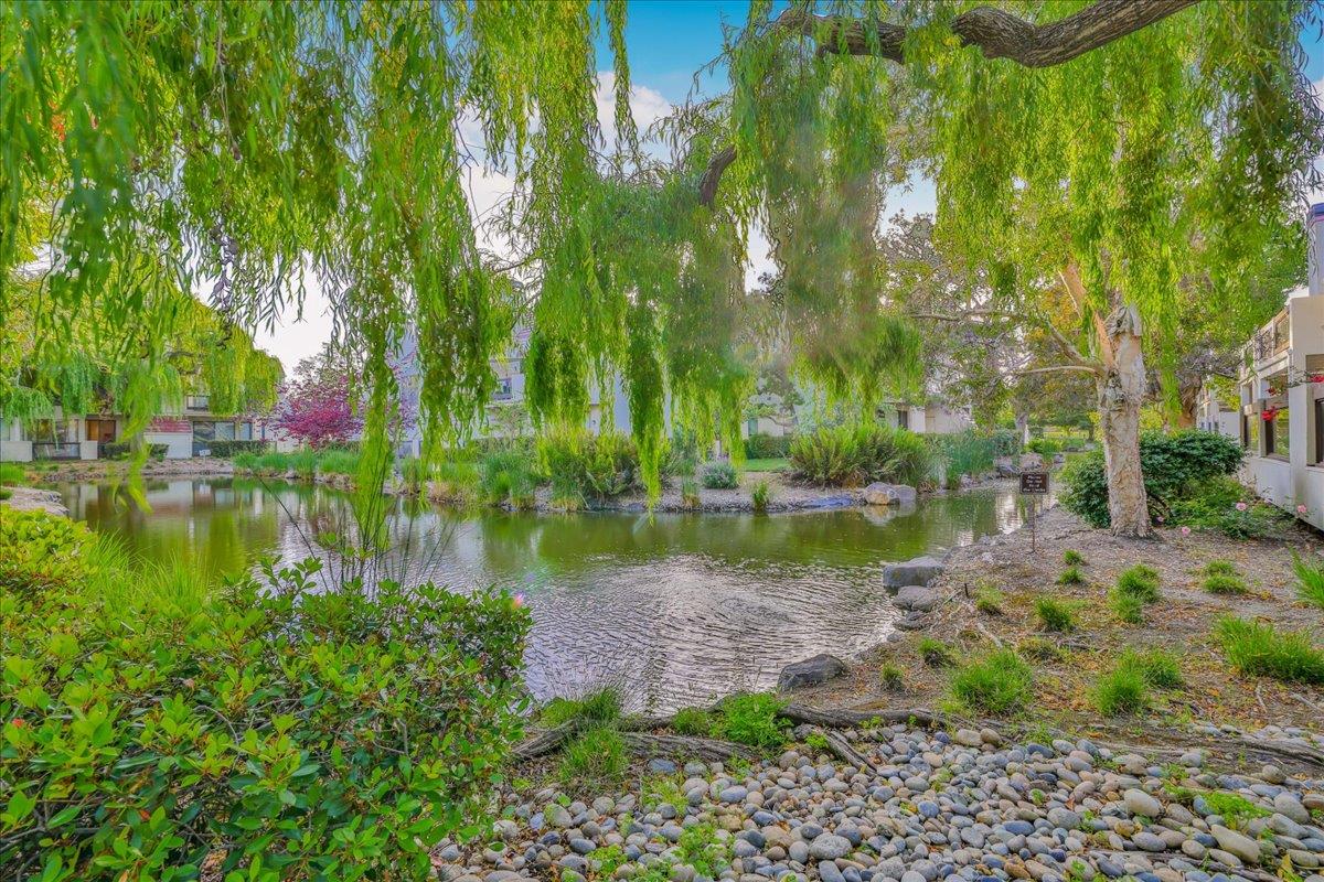 538 Shorebird CIR 22203