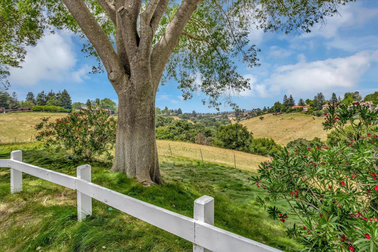 43559 Puesta Del Sol