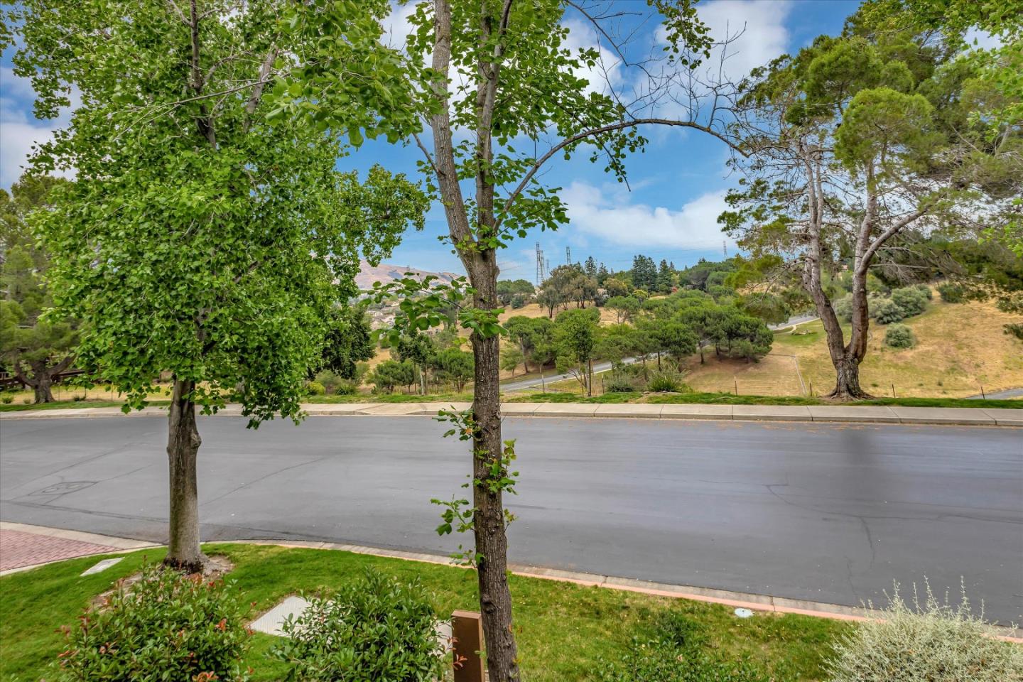 43559 Puesta Del Sol