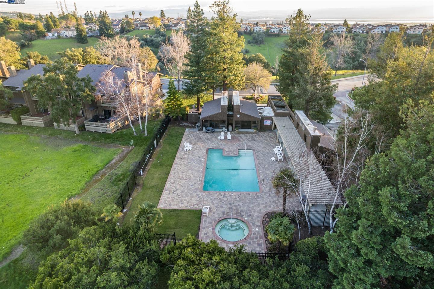 43559 Puesta Del Sol