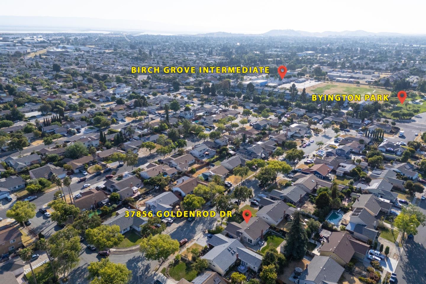 37856 Goldenrod DR