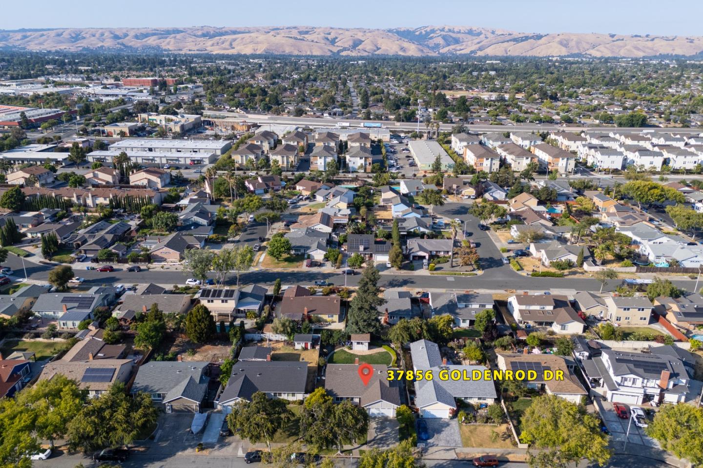 37856 Goldenrod DR