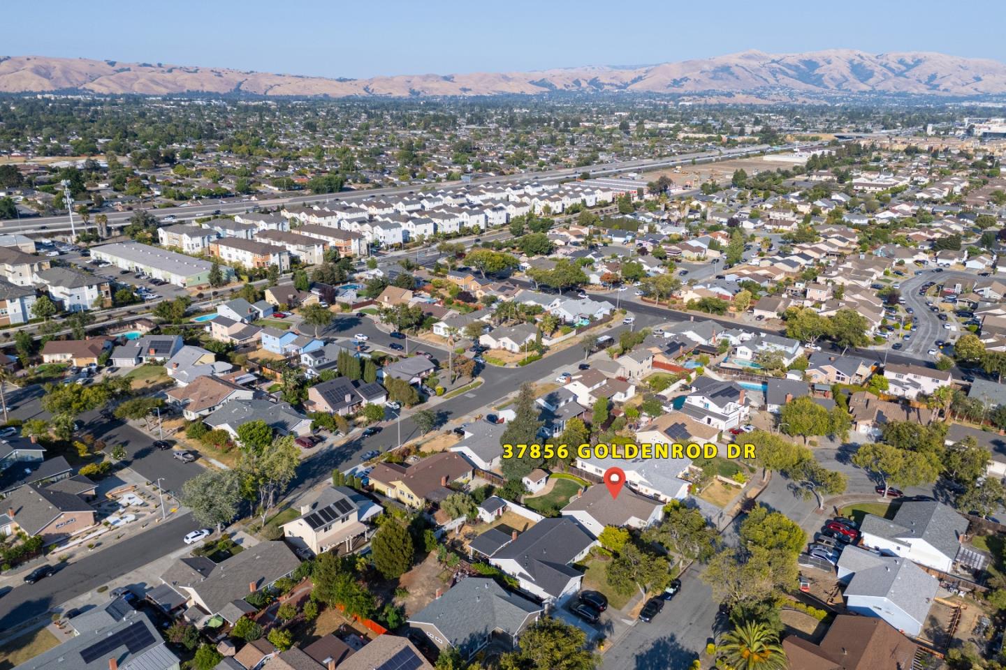37856 Goldenrod DR