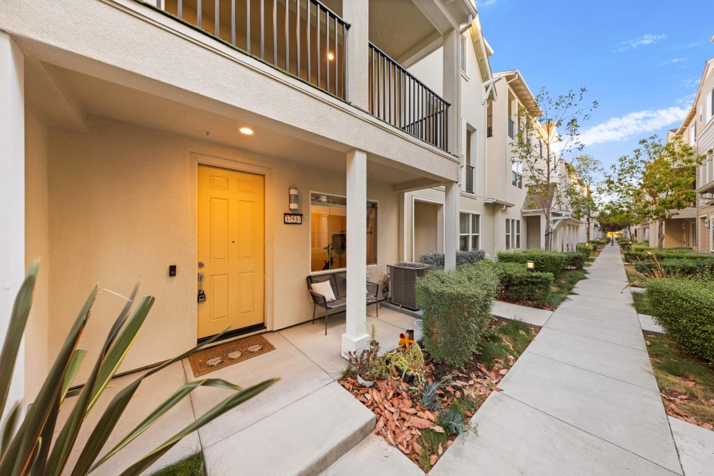 37537 Estuary Street