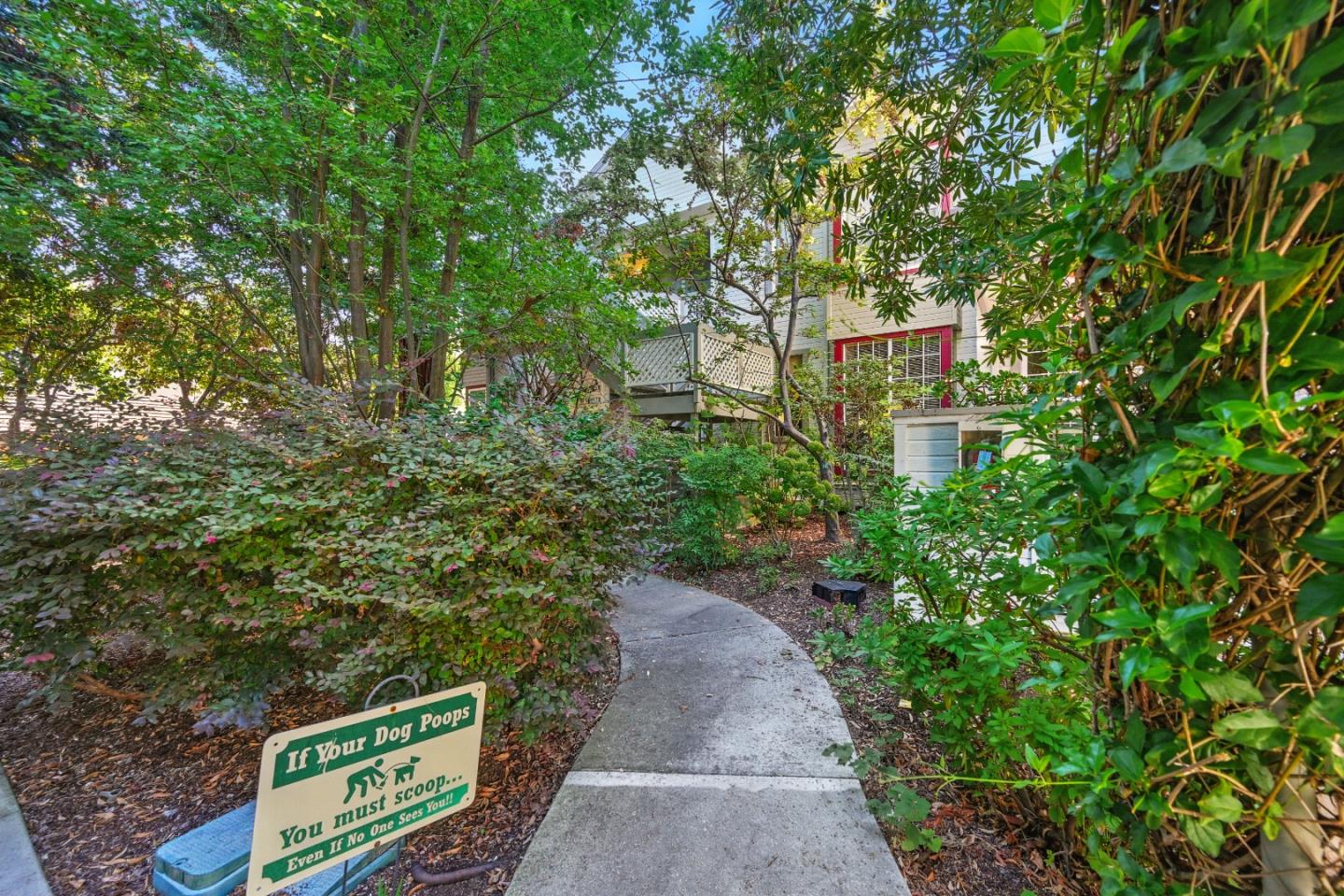 984 Belmont Terrace 10