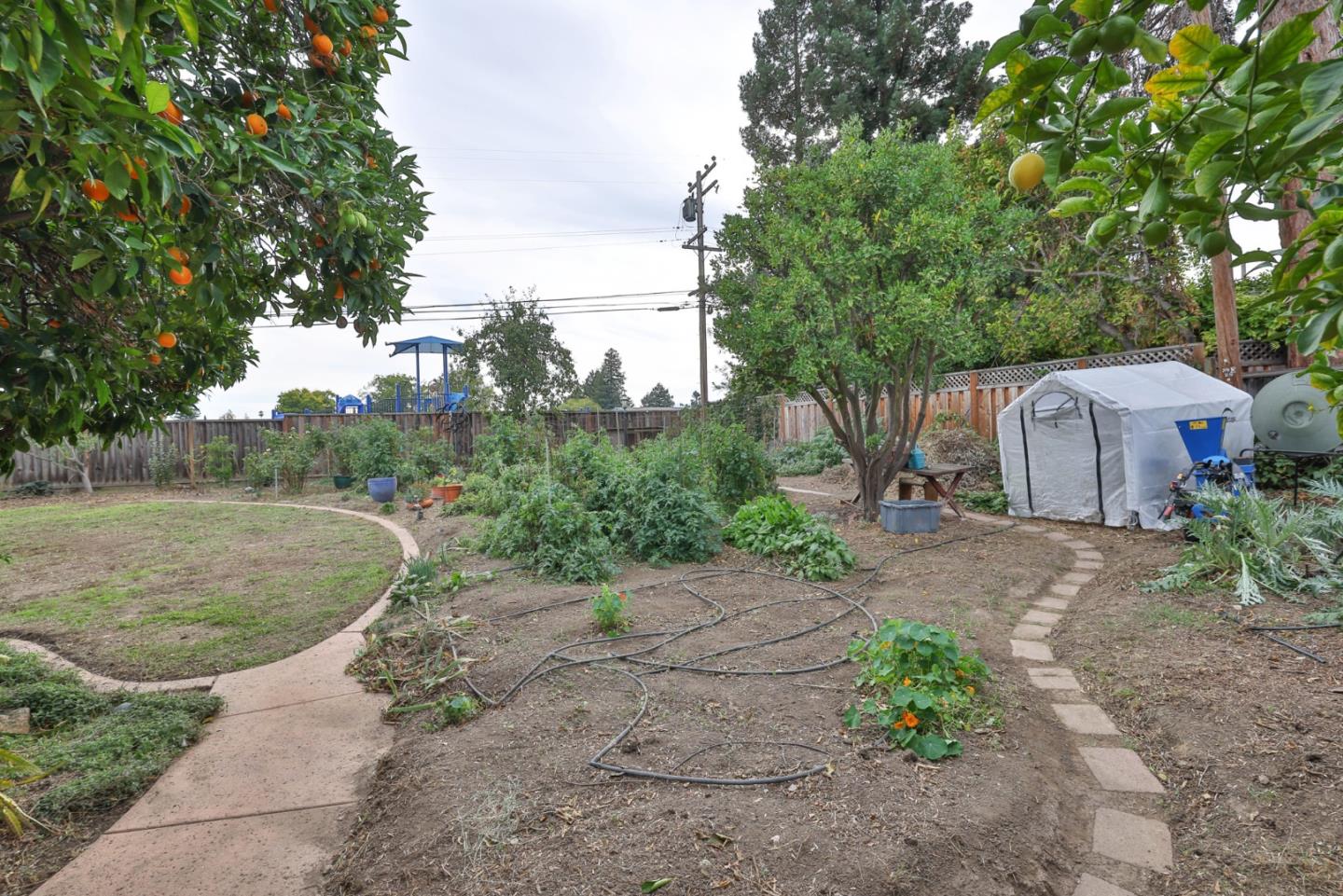3772 Thrush Way
