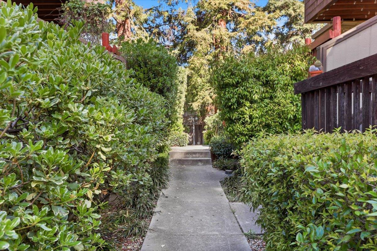 2431 Michele Jean Way