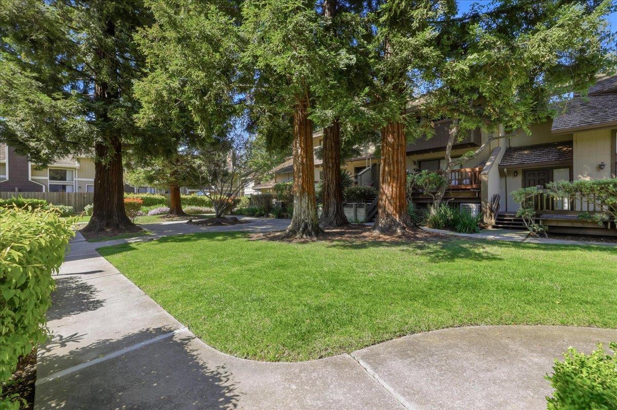 2431 Michele Jean Way