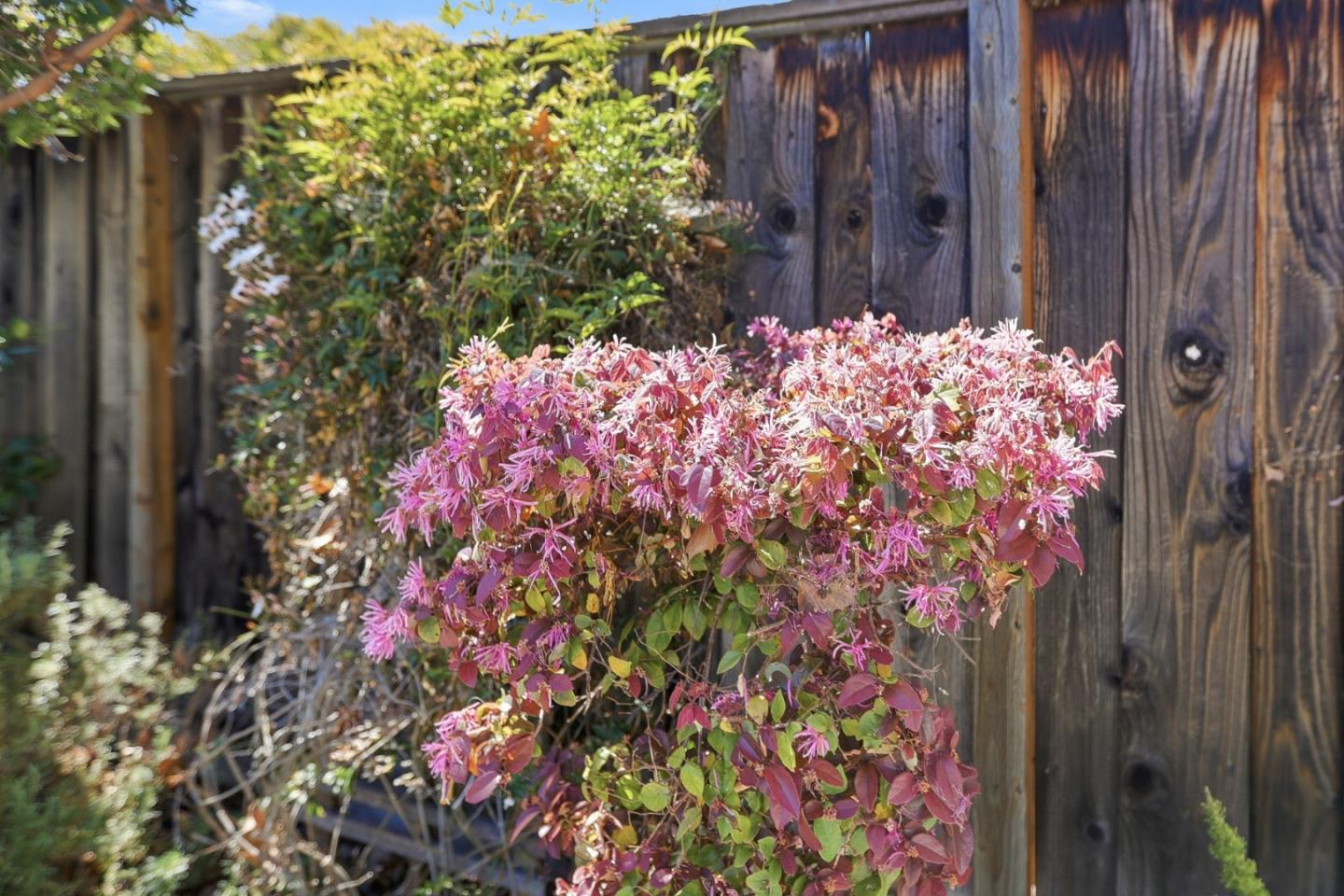 2242 Cabrillo Avenue