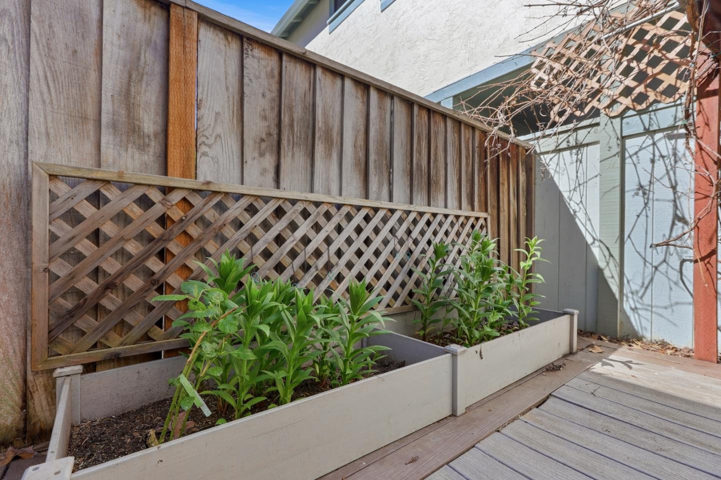 34827 Dorado Common
