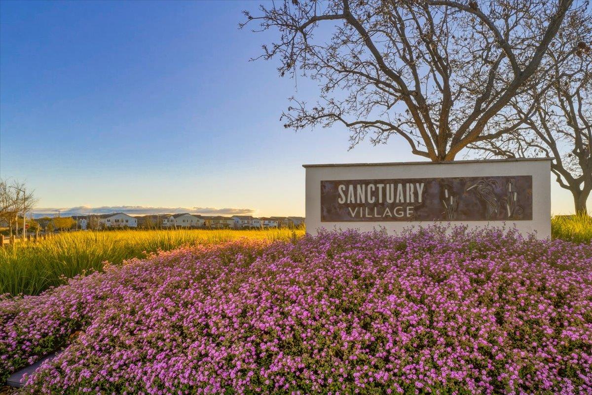 39502 South Darner Drive