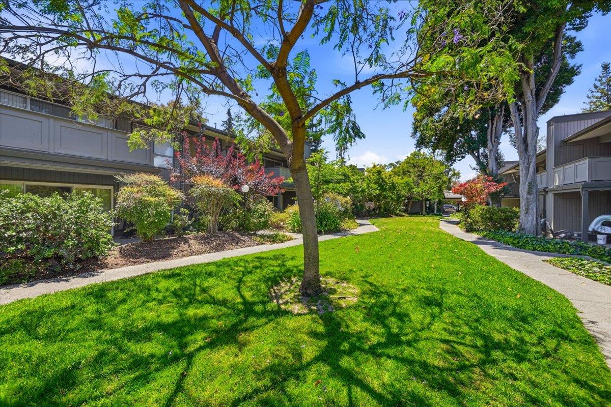 121 Buckingham Drive 50