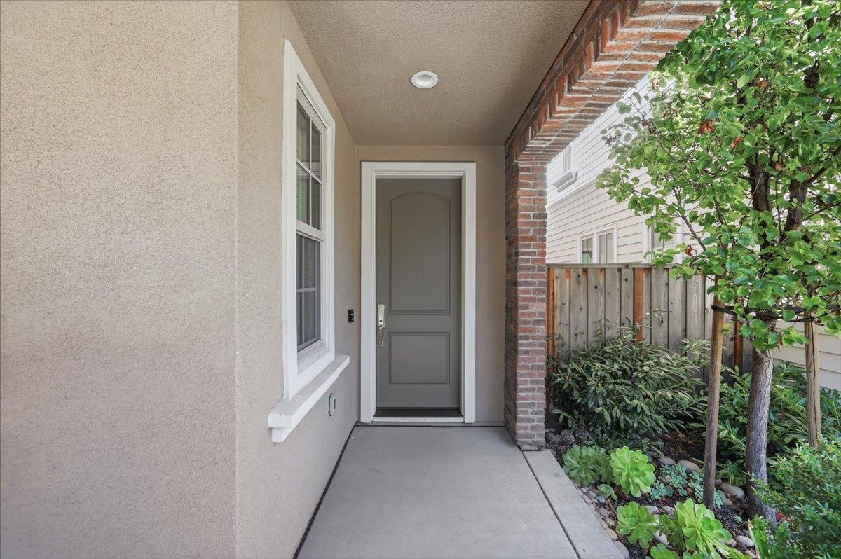 182 Melia LOOP