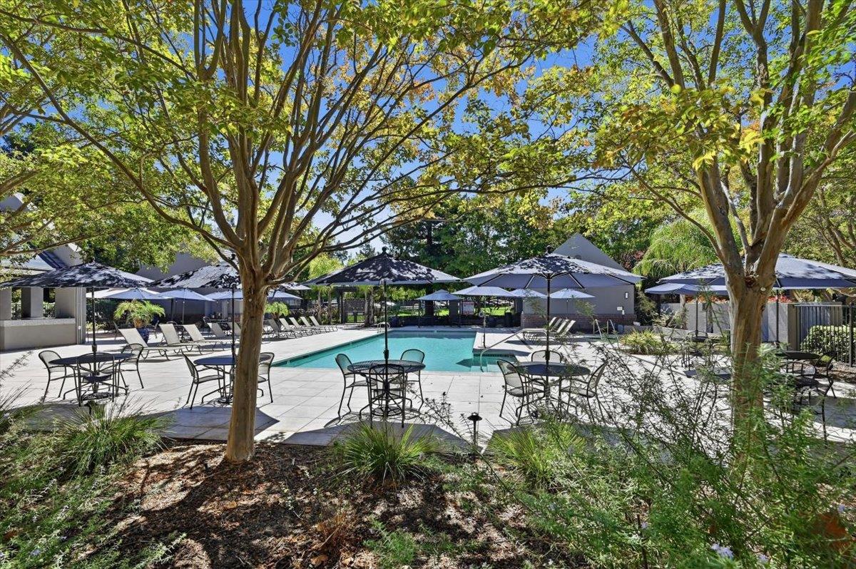 182 Melia LOOP