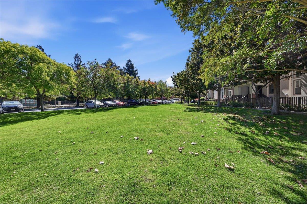 182 Melia LOOP