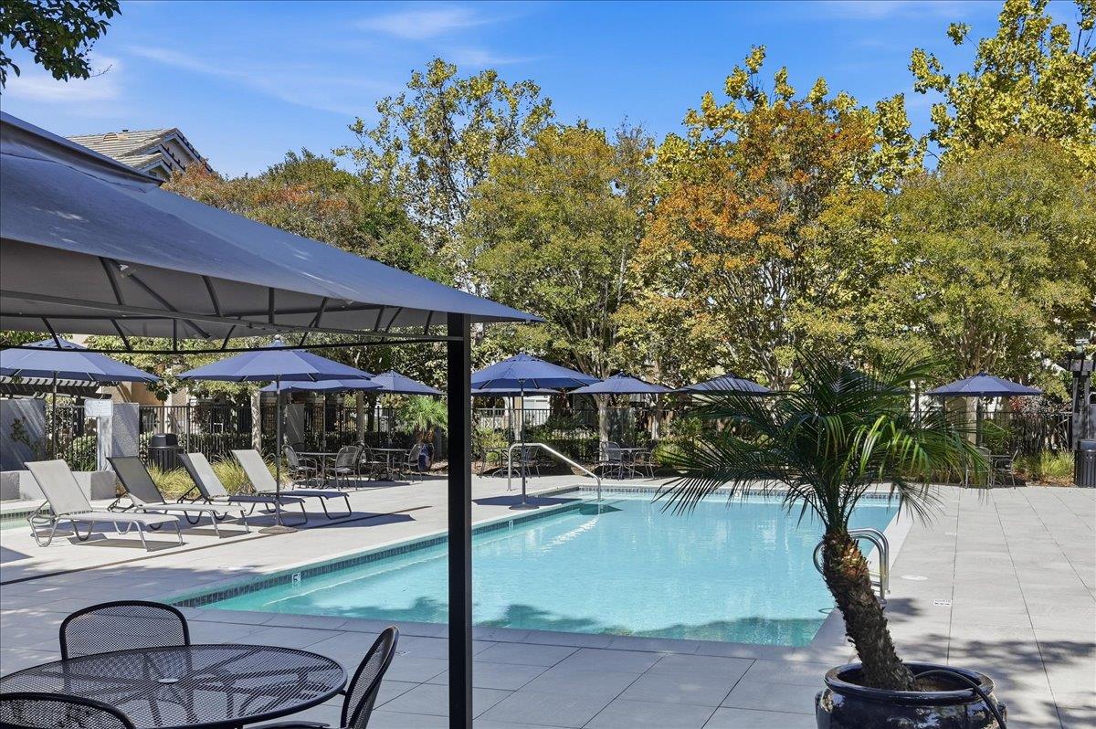 182 Melia LOOP