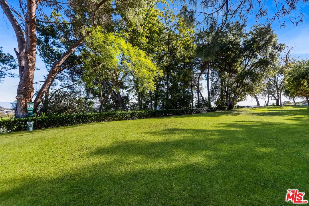 10434 Windtree Dr