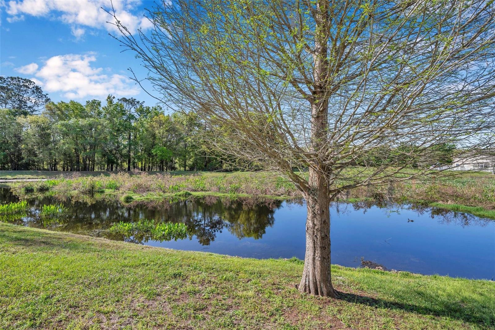 12147 COLONY LAKES BLVD