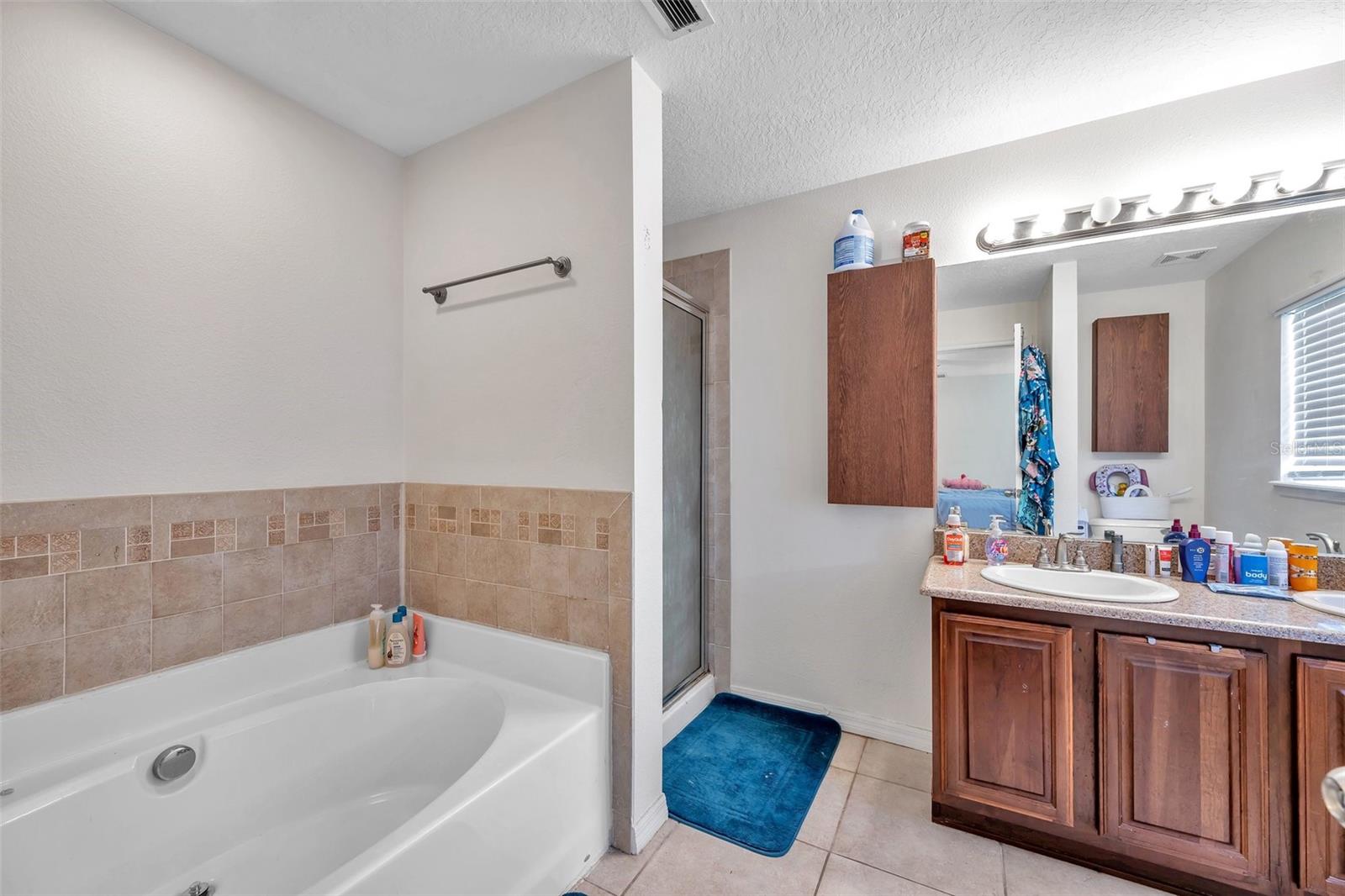 12147 COLONY LAKES BLVD