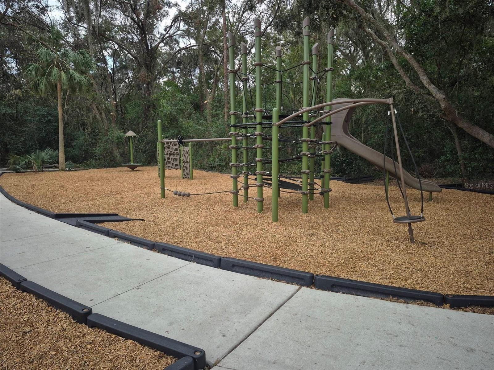 6123 APPLE SNAIL AVE