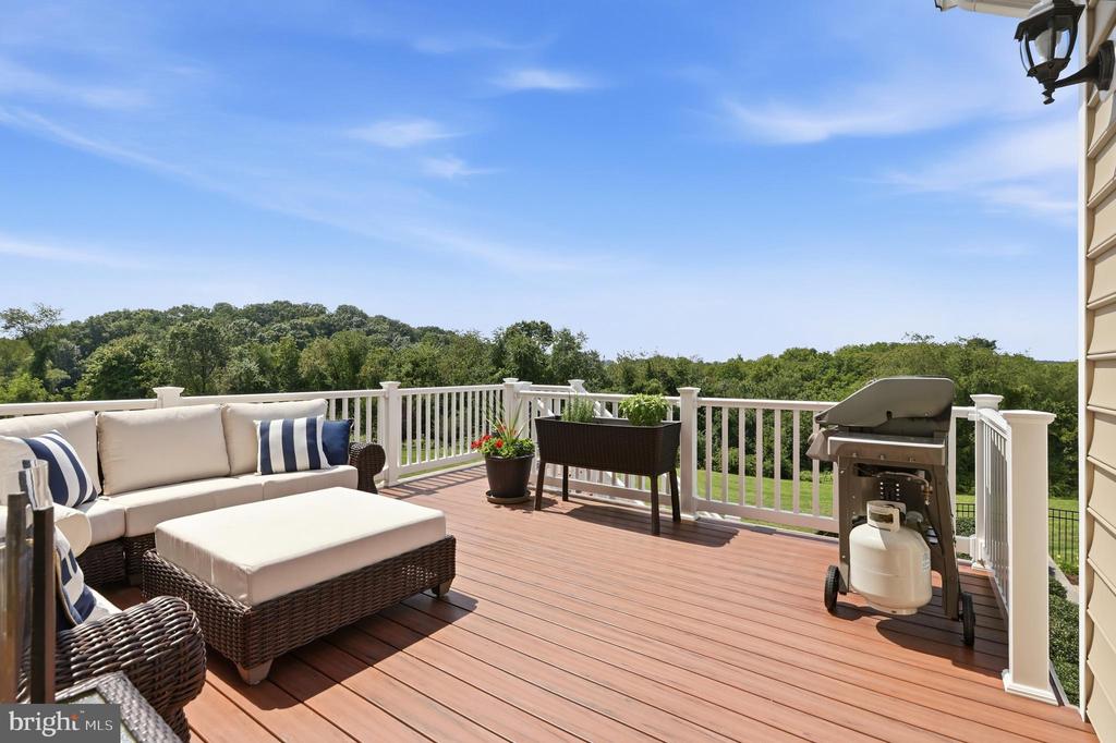 1080 WILD GOOSE COURT
