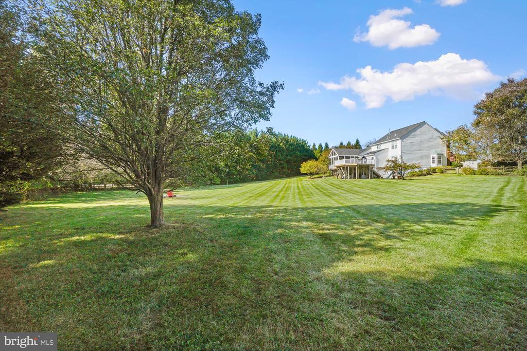 23605 WHITE PEACH COURT