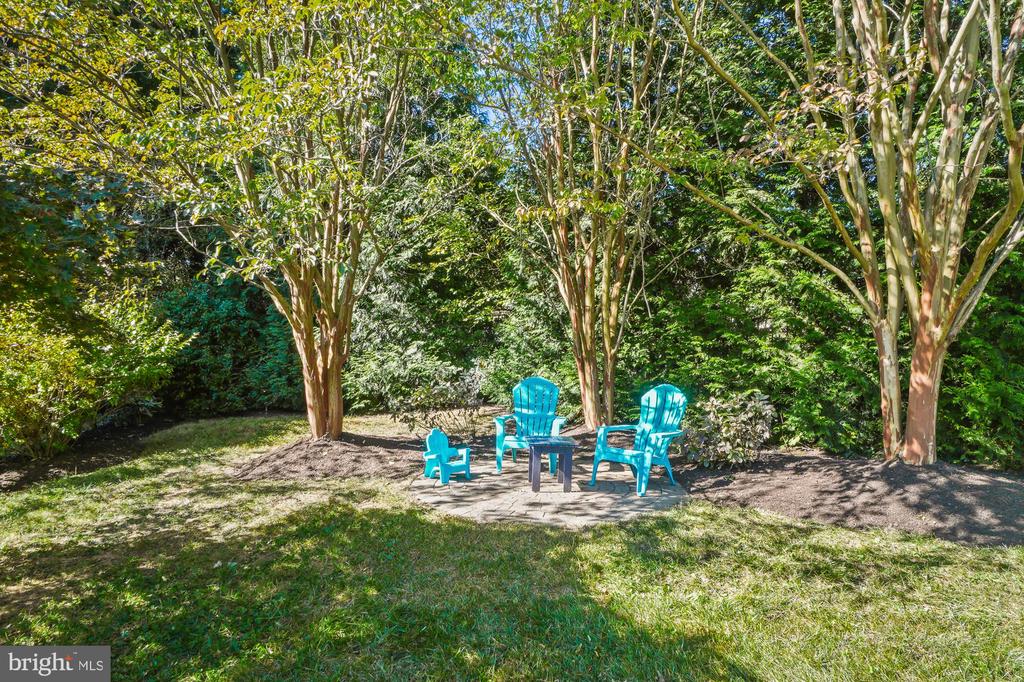 23605 WHITE PEACH COURT
