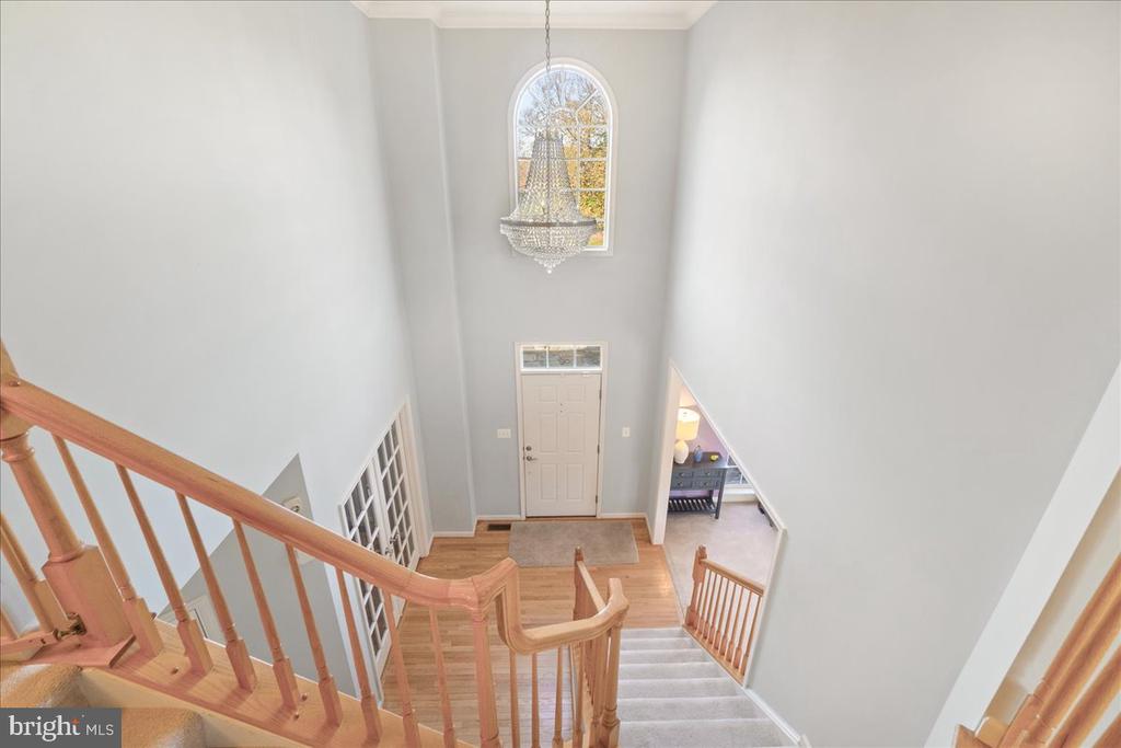 23605 WHITE PEACH COURT