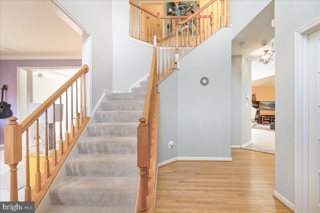 23605 WHITE PEACH COURT