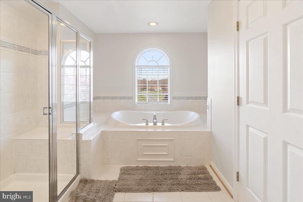 23605 WHITE PEACH COURT