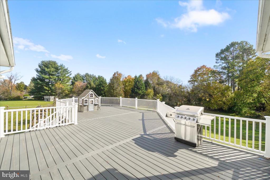 23605 WHITE PEACH COURT