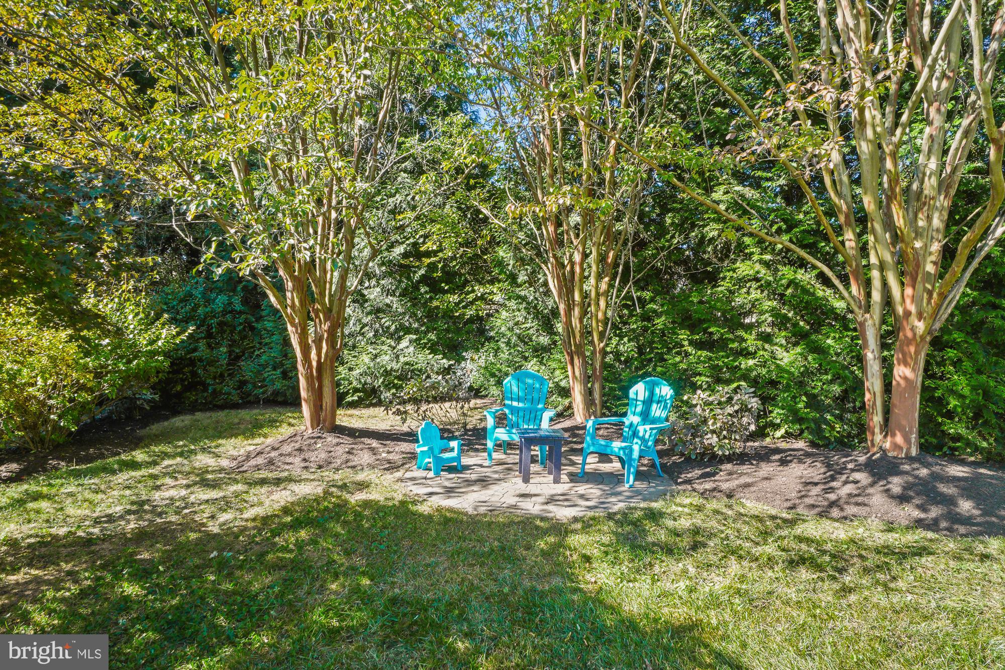 23605 WHITE PEACH COURT
