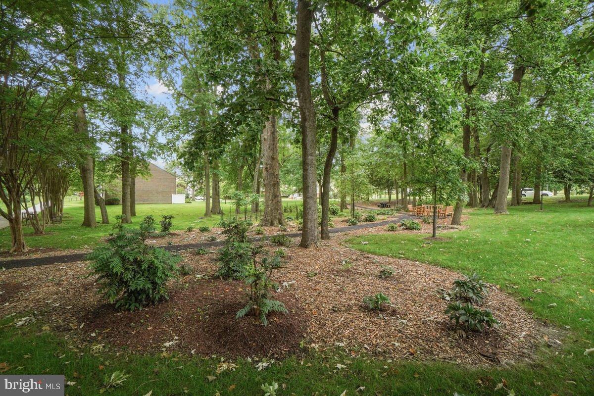 9 FITZHUGH COURT 71-B