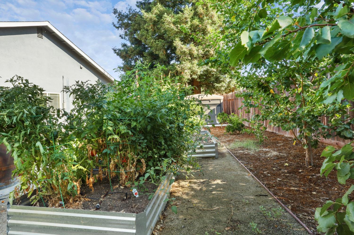 9964 Stone Oak Way