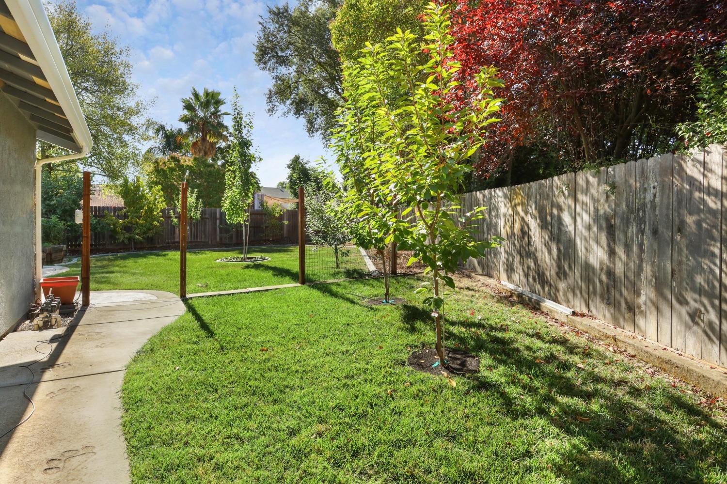 9964 Stone Oak Way